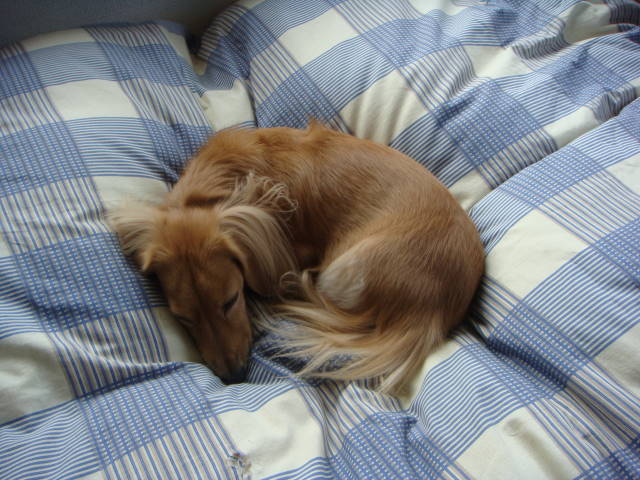 d0098295_00013.jpg