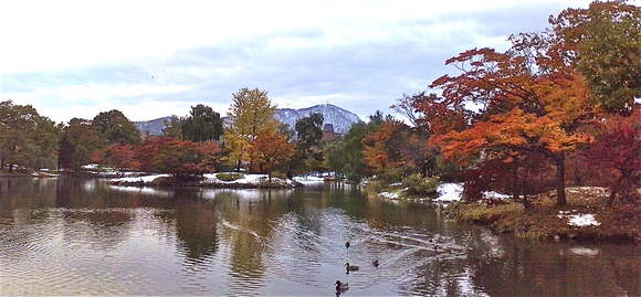b0199097_822656.jpg