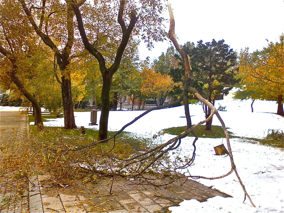 b0199097_841284.jpg