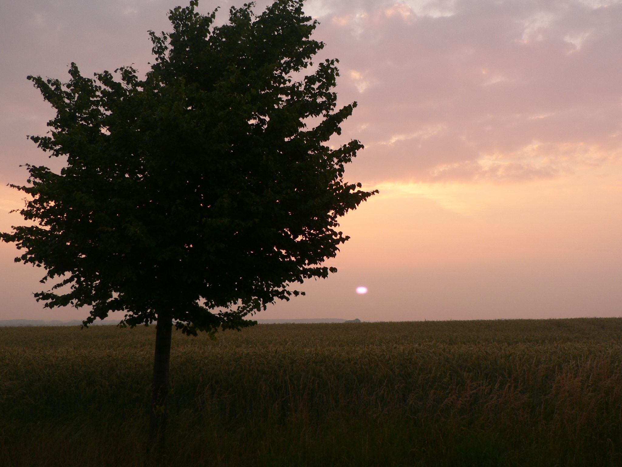 a0056401_885110.jpg