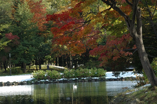 f0157901_20385750.jpg