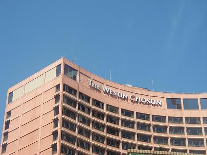 e0087008_913328.jpg