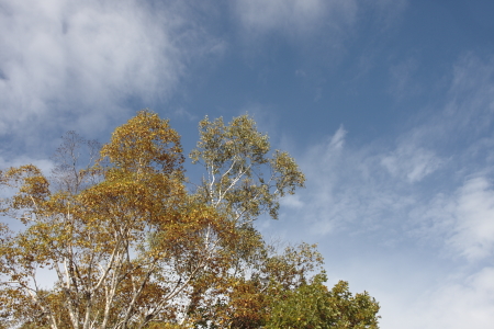 e0138008_193771.jpg