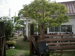 c0190010_15543122.jpg