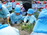 a0134415_22383835.jpg