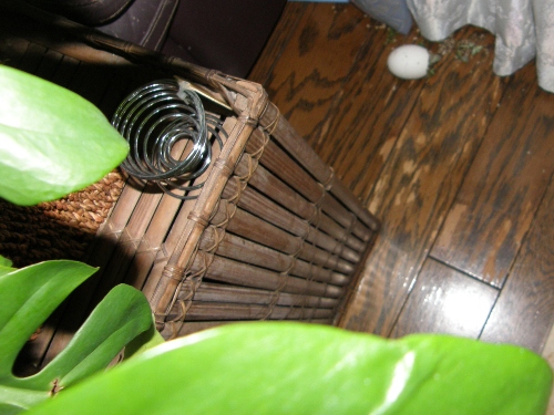 c0158916_2127019.jpg