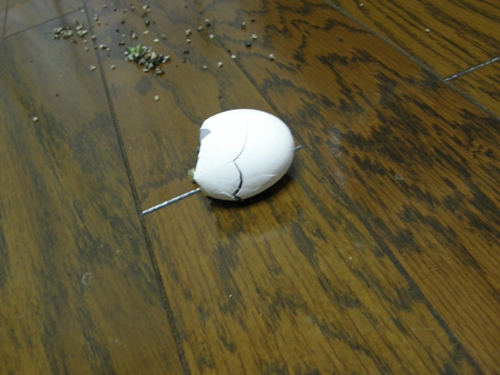c0158916_21274822.jpg
