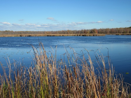e0144717_7343881.jpg