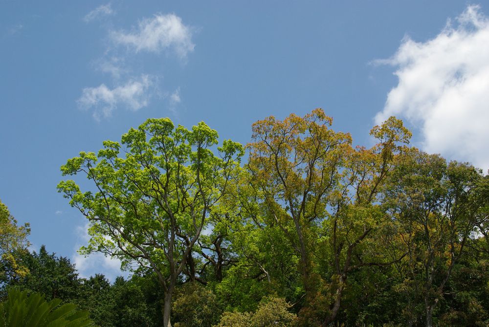 f0140720_0574632.jpg