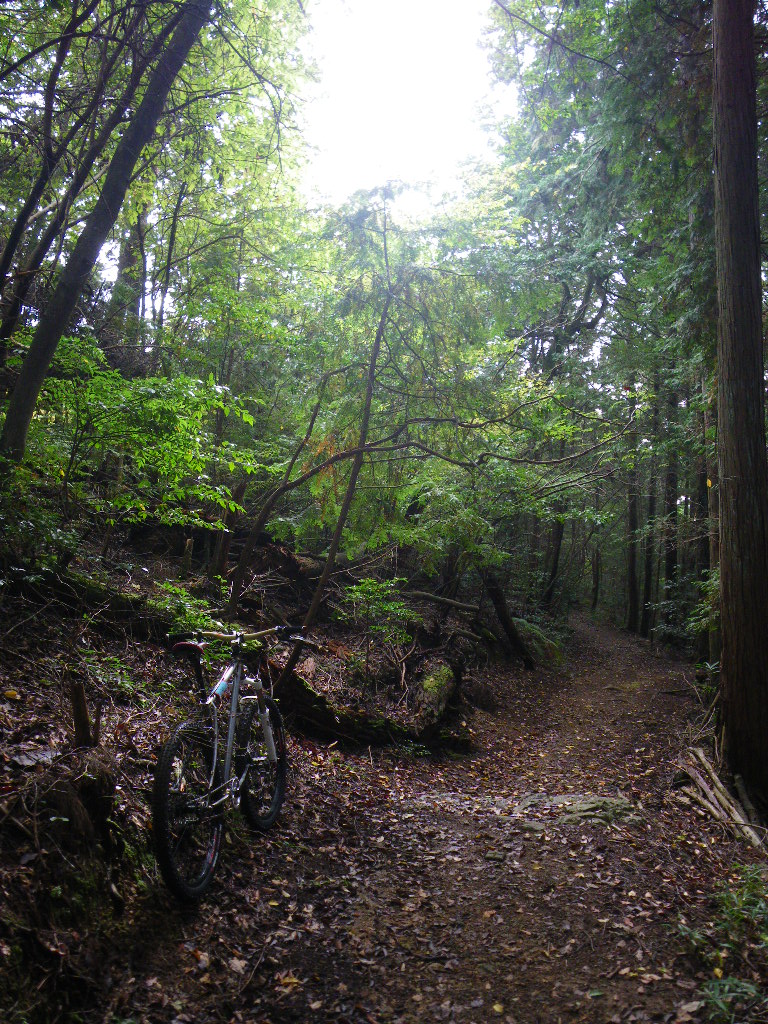 c0189724_2162614.jpg