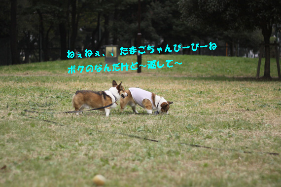 e0071225_1402863.jpg