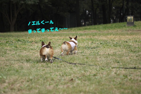 e0071225_140785.jpg