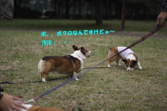 e0071225_1494929.jpg
