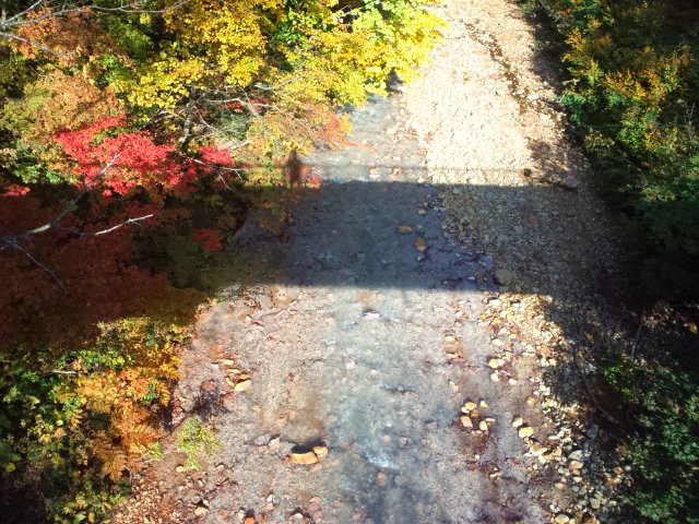 e0016828_11335623.jpg