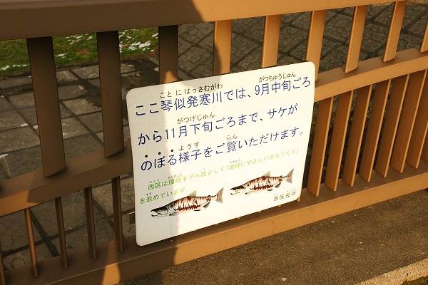 f0046128_7503946.jpg