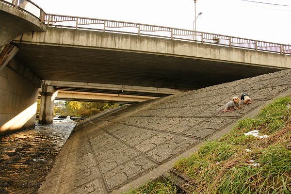 f0046128_7521735.jpg