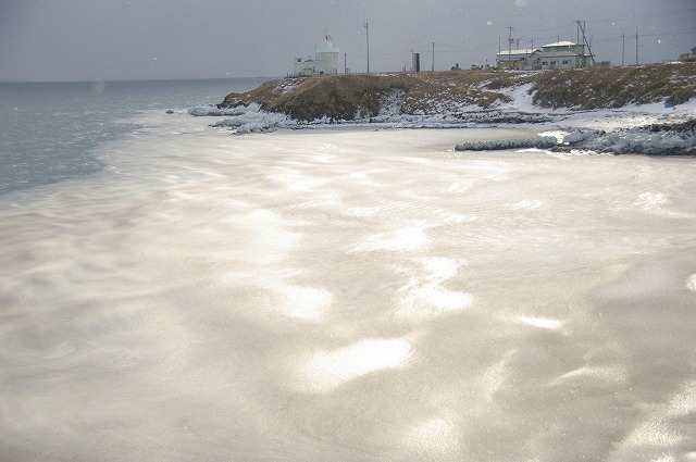 f0053130_1022797.jpg