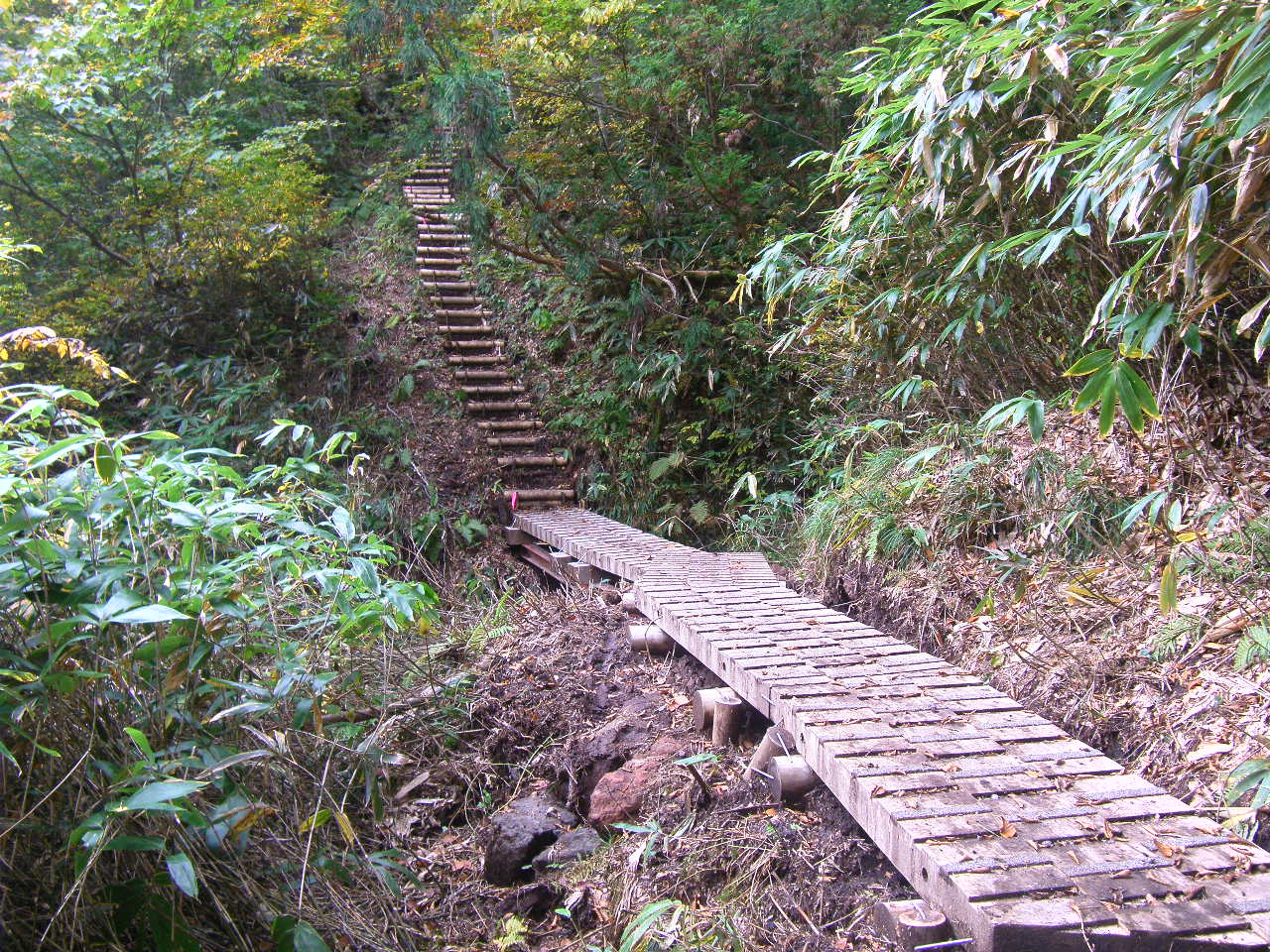 a0119132_1728370.jpg