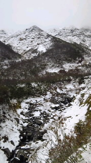 f0118332_12203910.jpg