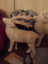c0192234_22232066.jpg