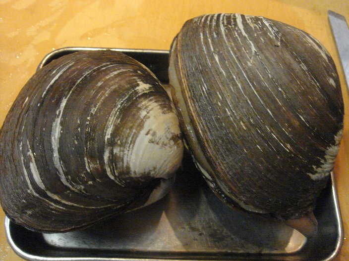 f0208737_7522185.jpg