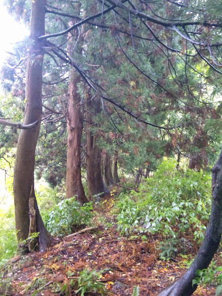 c0144638_4465959.jpg