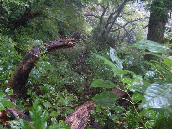 c0144638_494839.jpg
