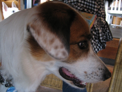 b0086939_042544.jpg
