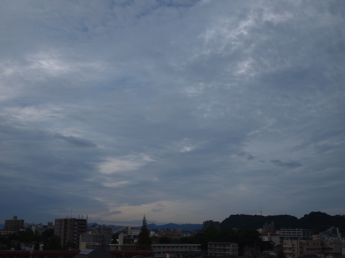 a0146442_84174.jpg