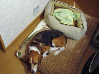 c0086746_2242582.jpg