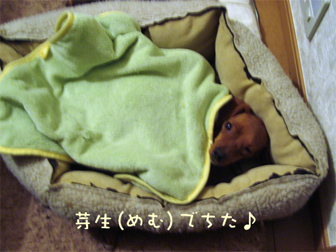c0086746_2243117.jpg