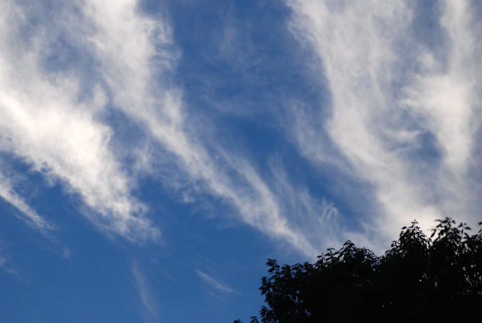 e0009147_204013100.jpg