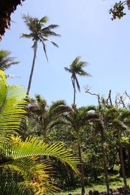 f0041447_1635162.jpg