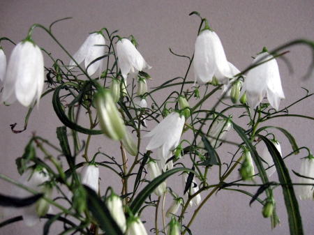 c0147952_0555590.jpg
