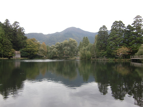 c0206352_16404913.jpg