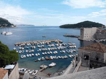 a0044453_2021493.gif