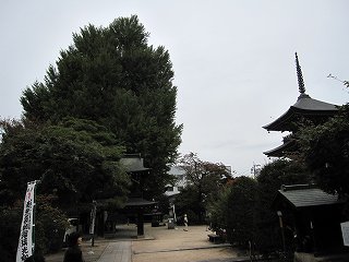 d0031853_4505034.jpg