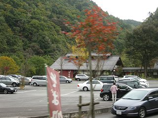 d0031853_5293721.jpg