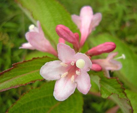 a0001354_237437.jpg