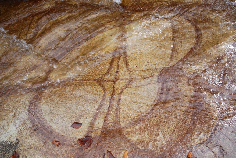 d0169556_18543463.jpg