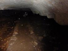 e0159557_1773270.jpg