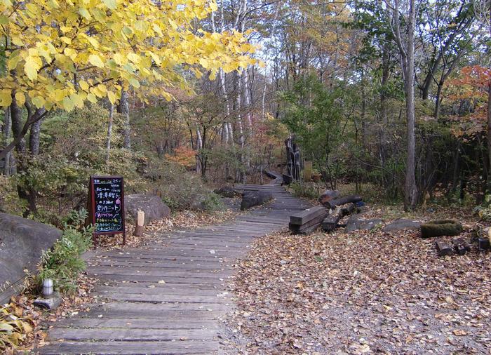 c0140260_051290.jpg