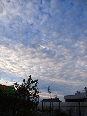 a0104162_6315992.jpg
