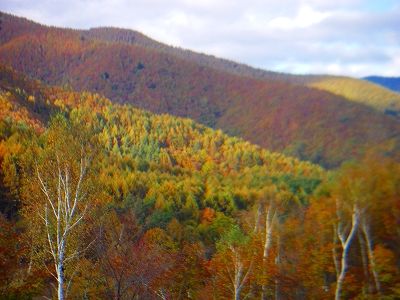 f0182173_1148964.jpg