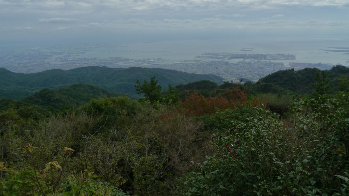 e0024081_17562177.jpg