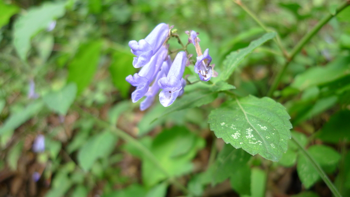 e0024081_17575151.jpg