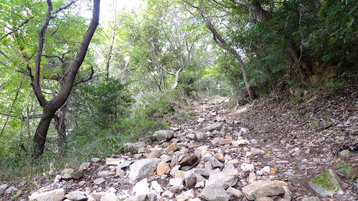 e0024081_17585988.jpg