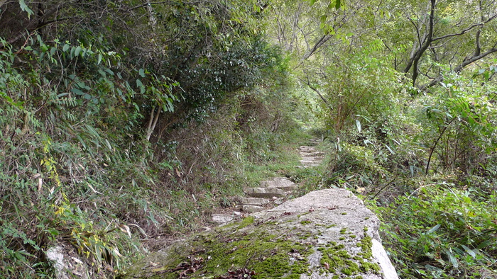 e0024081_17594121.jpg