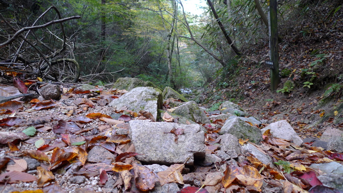 e0024081_181244.jpg