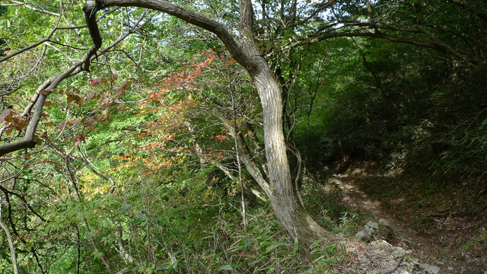 e0024081_1813427.jpg